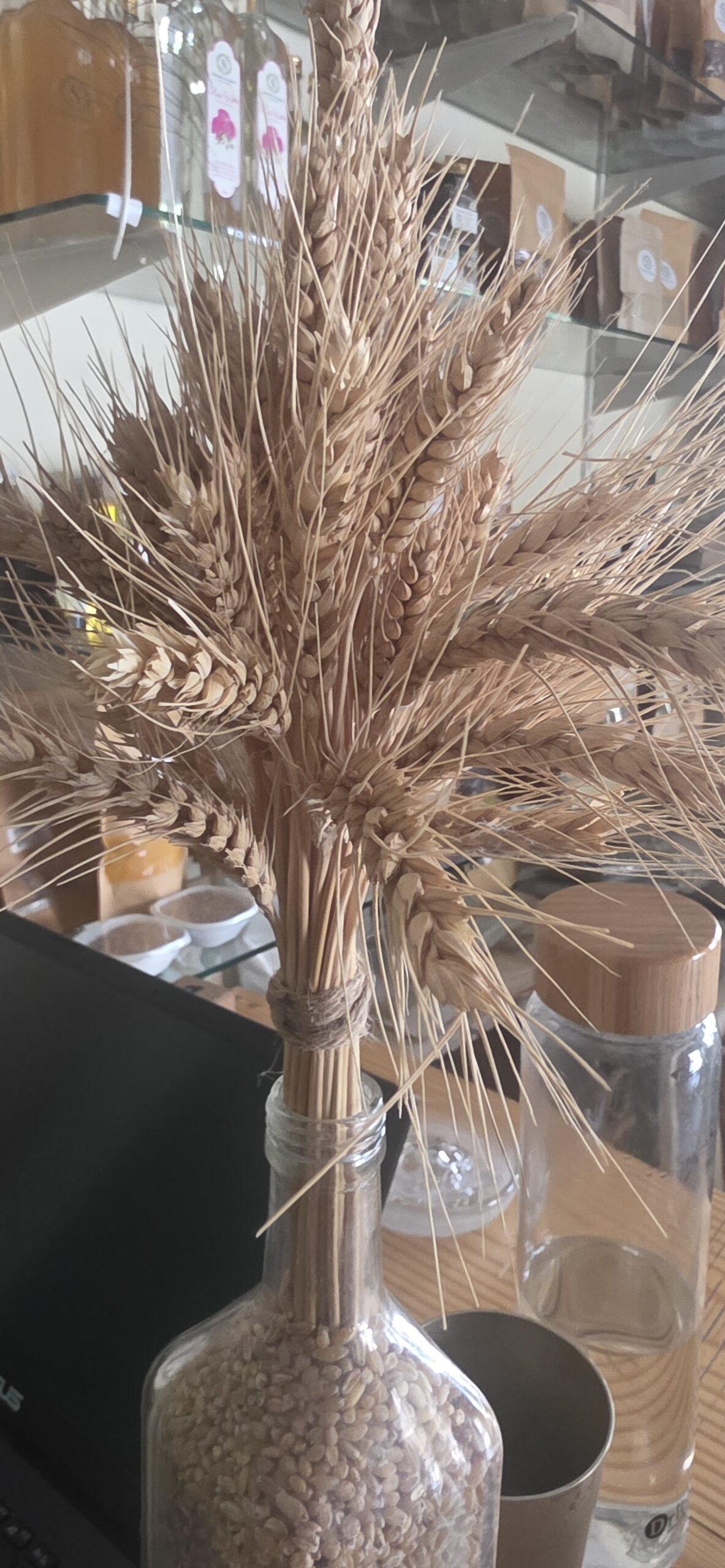 Banshi Wheat
