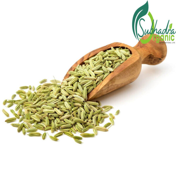 Fennel Seeds