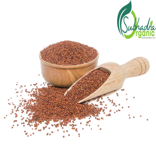 Finger Millet (Ragi)